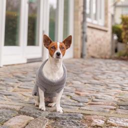 Trixie Citystyle Berlin Striktrøje Til Hunden i Grå